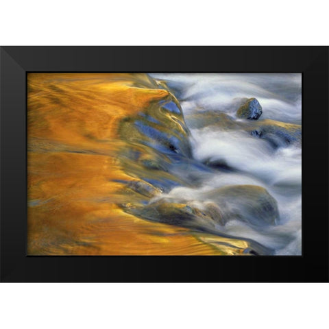 Northeast, Fall reflections on stream rapids Black Modern Wood Framed Art Print by Rotenberg, Nancy