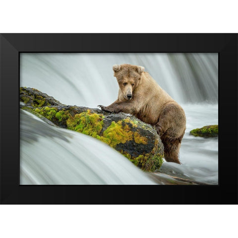 Left Wanting Black Modern Wood Framed Art Print by Doyle, Renee