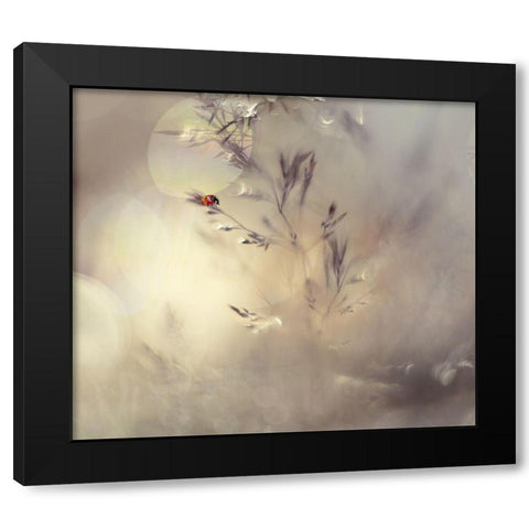 Little Lady Black Modern Wood Framed Art Print by Westum, Heidi