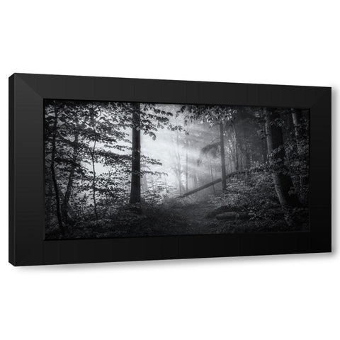 Point Of No Return ... Black Modern Wood Framed Art Print by Maier, Norbert