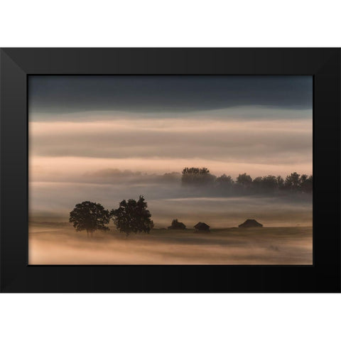 Dense Fog Over The Moos... Black Modern Wood Framed Art Print by Pauli, Nina