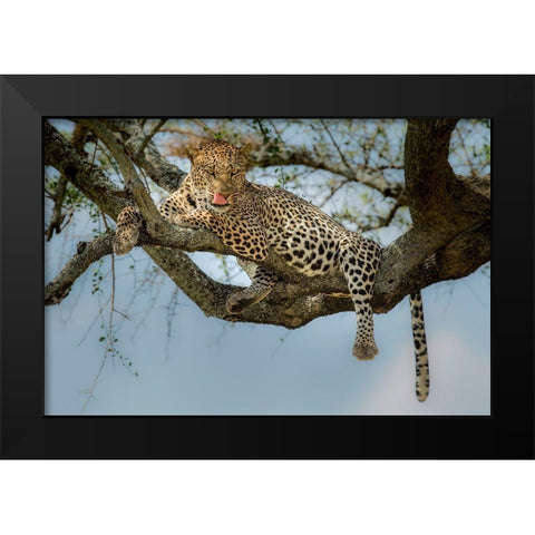 How Tasty You Are! Black Modern Wood Framed Art Print by Nadoum, Khaleel