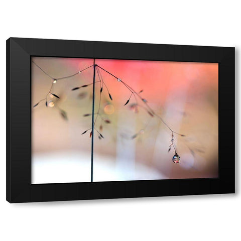 Morning Glow Black Modern Wood Framed Art Print by Westum, Heidi