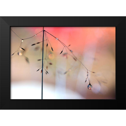 Morning Glow Black Modern Wood Framed Art Print by Westum, Heidi