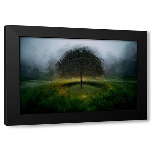 Eden Place Black Modern Wood Framed Art Print by Malovrh, Milan