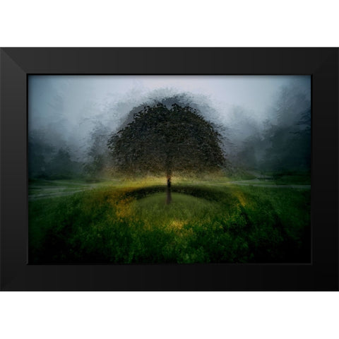 Eden Place Black Modern Wood Framed Art Print by Malovrh, Milan