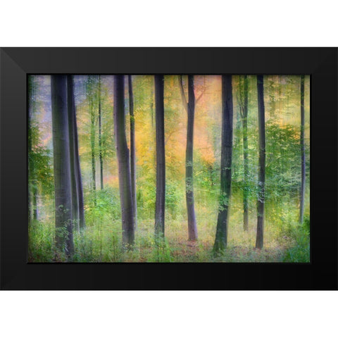 Dreamy Black Modern Wood Framed Art Print by Jochen, Burger