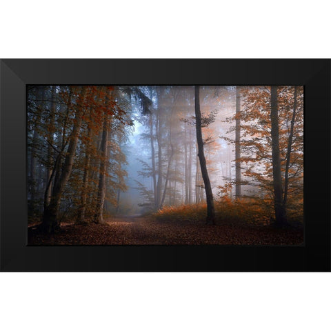Autumn Colors Black Modern Wood Framed Art Print by Maier, Norbert