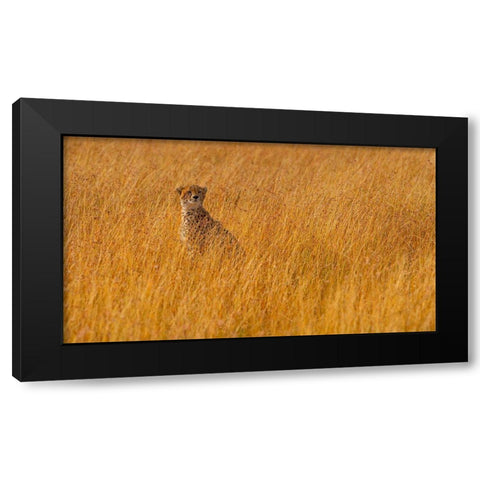 Ferrari Of The Bush Black Modern Wood Framed Art Print by Alnaser, Mohammed