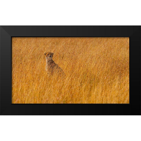 Ferrari Of The Bush Black Modern Wood Framed Art Print by Alnaser, Mohammed