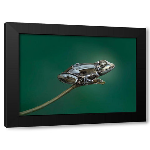 Frog Black Modern Wood Framed Art Print by Almawash, Sulaiman