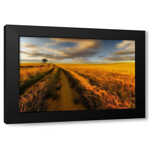 Yellow Black Modern Wood Framed Art Print with Double Matting by Krol, Piotr