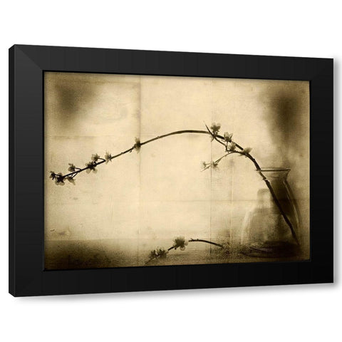 Zen Black Modern Wood Framed Art Print by Hummel, Jeffrey