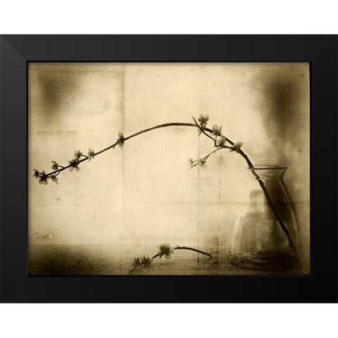 Zen Black Modern Wood Framed Art Print by Hummel, Jeffrey