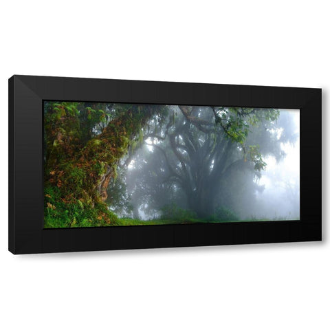 Inside The Clouds Black Modern Wood Framed Art Print by Schemel, Bertram