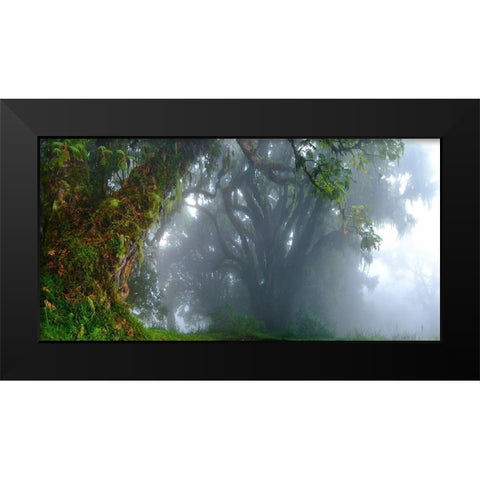 Inside The Clouds Black Modern Wood Framed Art Print by Schemel, Bertram