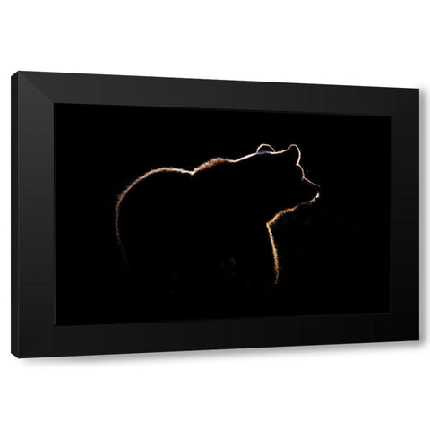 Highlight Black Modern Wood Framed Art Print by Golob, Gorazd