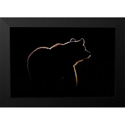 Highlight Black Modern Wood Framed Art Print by Golob, Gorazd