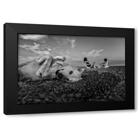 Waiting Patiently Black Modern Wood Framed Art Print with Double Matting by Morag, Avi