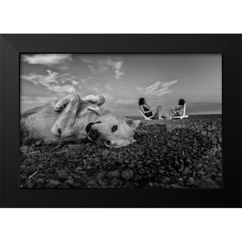 Waiting Patiently Black Modern Wood Framed Art Print by Morag, Avi