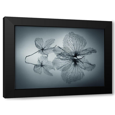 Ephemeral Beauty Black Modern Wood Framed Art Print with Double Matting by Kowatari, Shihya