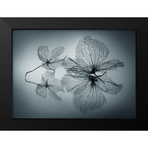 Ephemeral Beauty Black Modern Wood Framed Art Print by Kowatari, Shihya