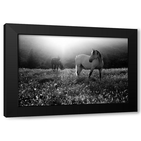 Come Home Black Modern Wood Framed Art Print with Double Matting by Svoboda Mqep, Peter