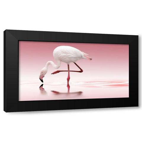 Flamingo Black Modern Wood Framed Art Print with Double Matting by Reindl, Doris