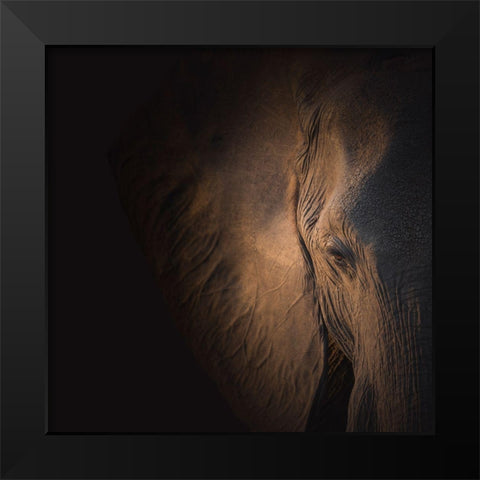 Gentle Giant Black Modern Wood Framed Art Print by Wolbers, Louise