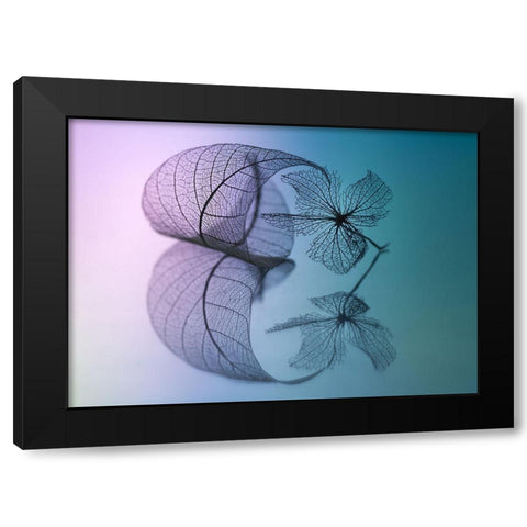 Story Of Leaf And Flower Black Modern Wood Framed Art Print with Double Matting by Kowatari, Shihya