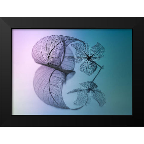 Story Of Leaf And Flower Black Modern Wood Framed Art Print by Kowatari, Shihya