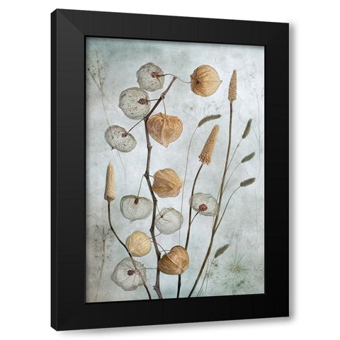 Lanterns Black Modern Wood Framed Art Print with Double Matting by Disher, Mandy