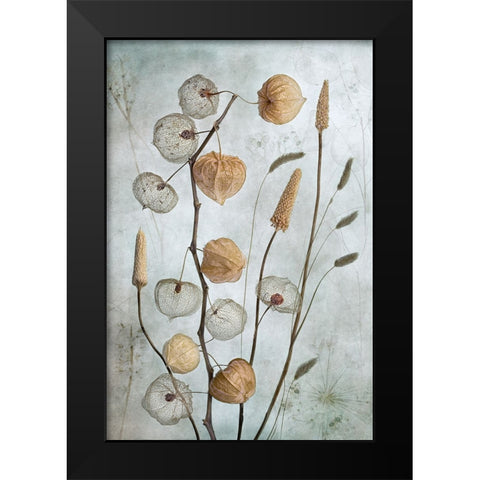 Lanterns Black Modern Wood Framed Art Print by Disher, Mandy