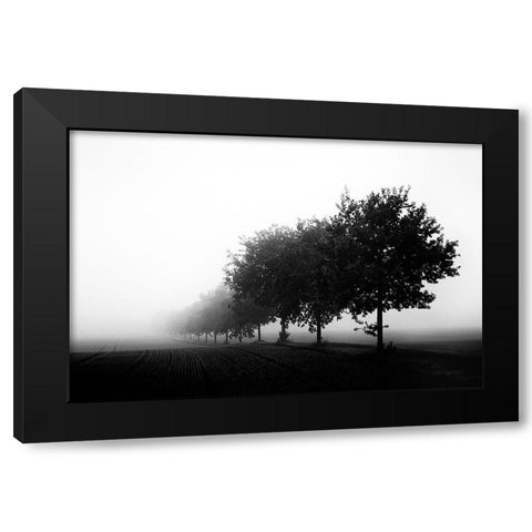 Foggy Day Black Modern Wood Framed Art Print by Buchmann, Oliver