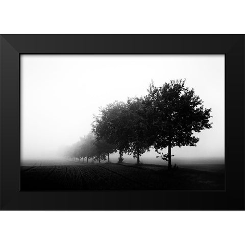 Foggy Day Black Modern Wood Framed Art Print by Buchmann, Oliver