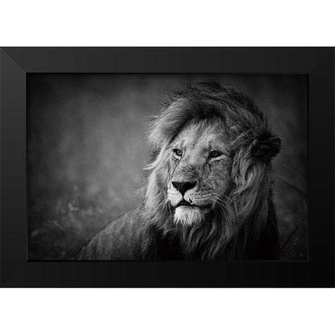 Regal Black Modern Wood Framed Art Print by Alnaser, Mohammed
