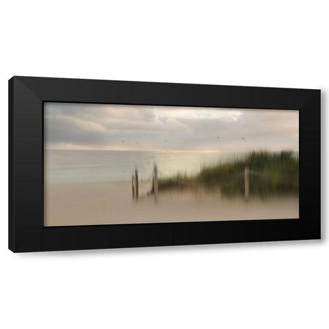 Early Bird Black Modern Wood Framed Art Print with Double Matting by Westum, Heidi