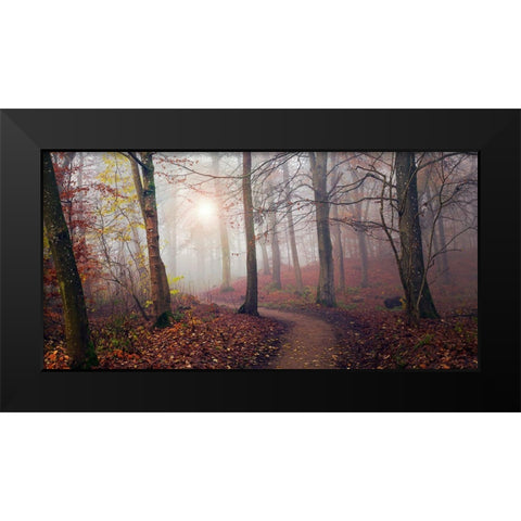 Autumn Sun. Black Modern Wood Framed Art Print by Londal, Leif