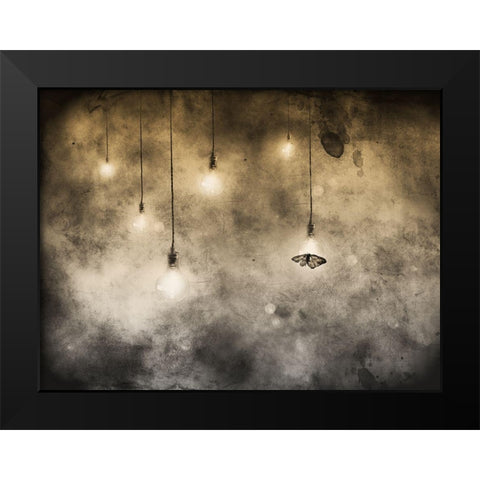 Attraction Black Modern Wood Framed Art Print by Hummel, Jeffrey