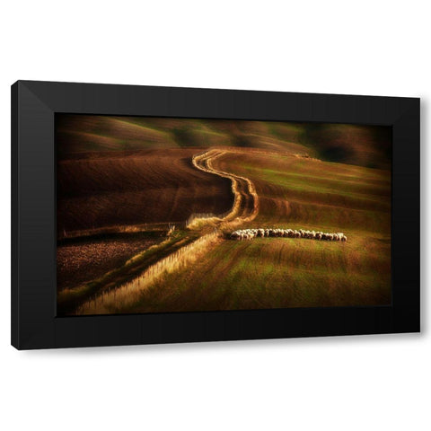 Crossing The Fields Black Modern Wood Framed Art Print with Double Matting by Svoboda Mqep, Peter