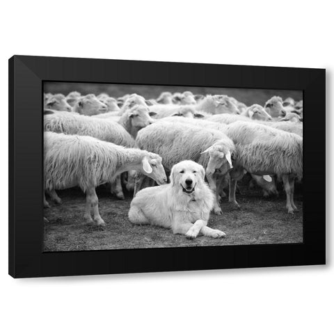 The Boss Black Modern Wood Framed Art Print with Double Matting by Constantin, Lucian