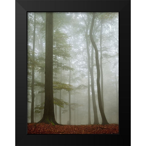 Visible Invisibility Black Modern Wood Framed Art Print by Stekl, Jiri