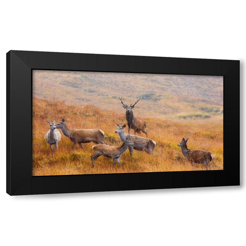 The Guardian Of The Moorland Black Modern Wood Framed Art Print by Ruoppolo, Luigi