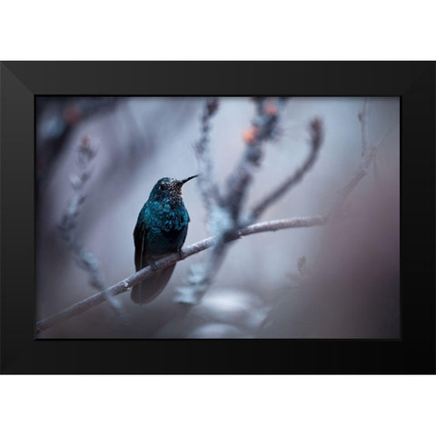 Electrical Blue Black Modern Wood Framed Art Print by Bravin, Fabien