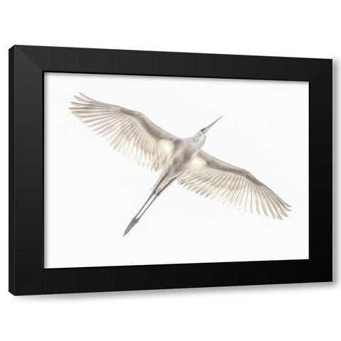 Fly Black Modern Wood Framed Art Print by Or, Keren
