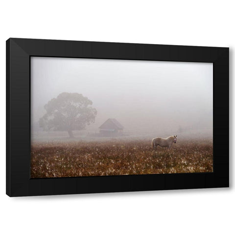 Morning Fog Black Modern Wood Framed Art Print with Double Matting by Tanase, Sorin