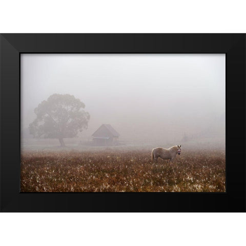 Morning Fog Black Modern Wood Framed Art Print by Tanase, Sorin