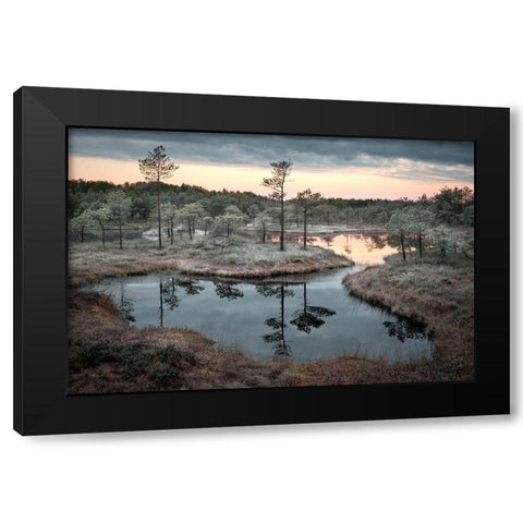 Spilled Paint Black Modern Wood Framed Art Print with Double Matting by Cirulis, Reinis