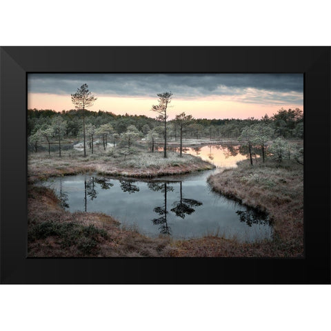 Spilled Paint Black Modern Wood Framed Art Print by Cirulis, Reinis