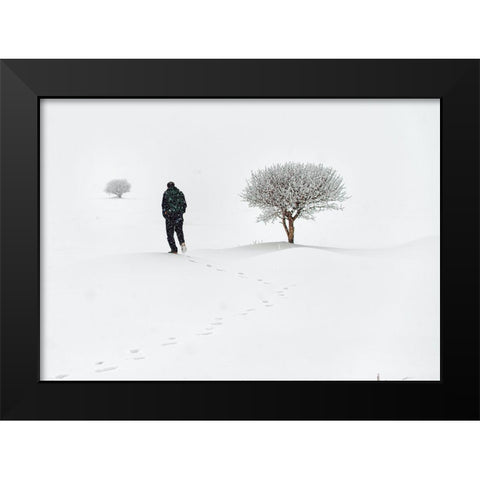 Lone On Snow Black Modern Wood Framed Art Print by Ayden, Cem